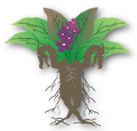 Dragora GNU/Linux logo